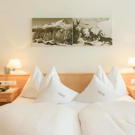 Hotel Silbertal Hotel