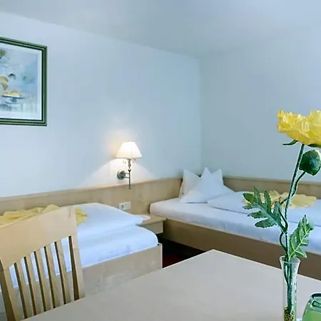 Hotel Silbertal Self-Checkin فندق 3*